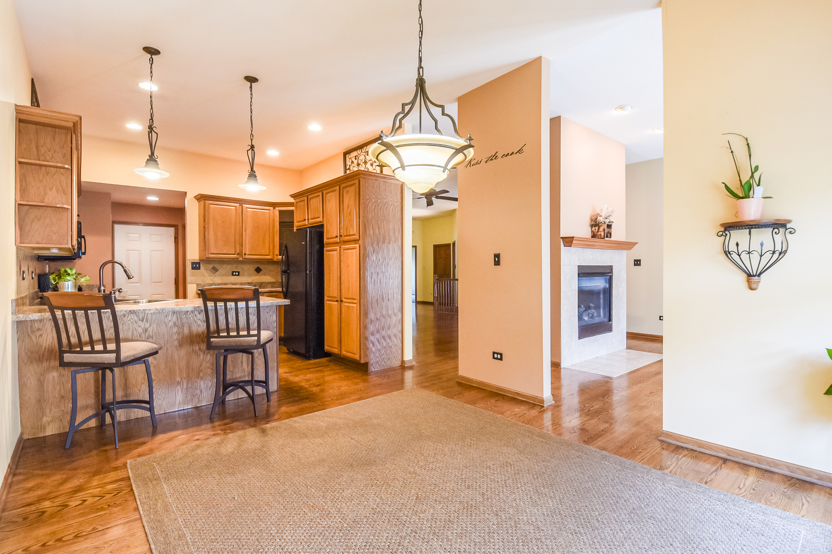 313 Louisa Street, Shorewood, IL 60404
