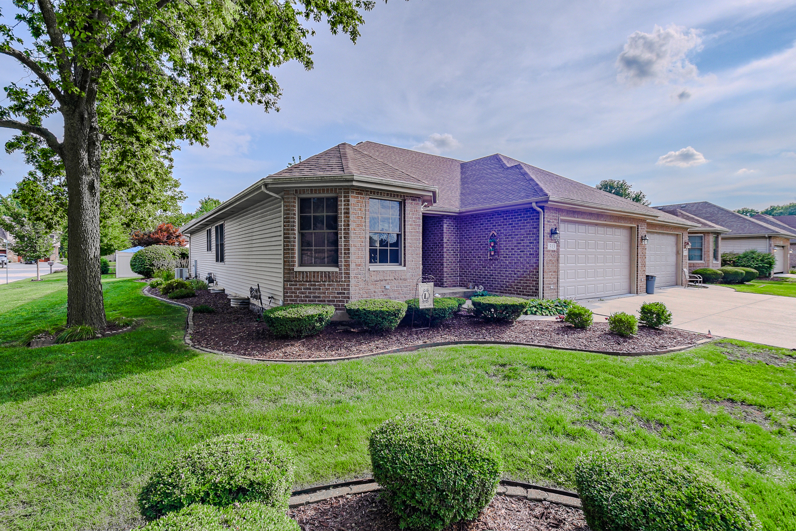 313 Louisa Street, Shorewood, IL 60404
