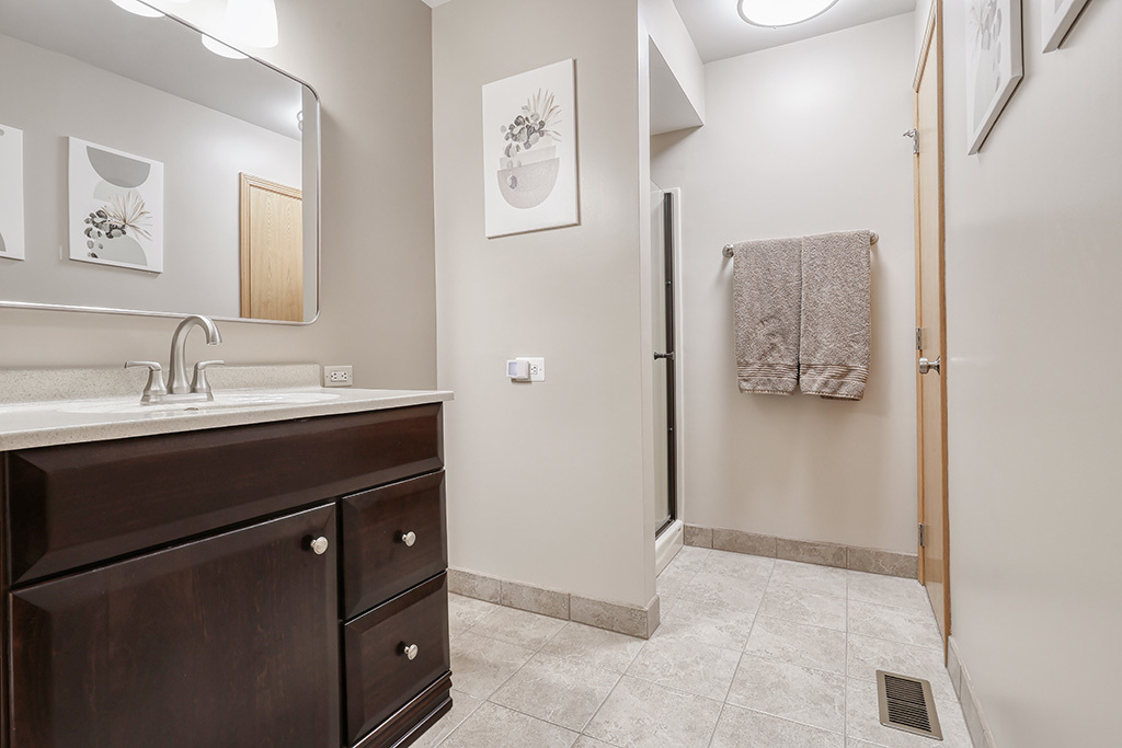 9911 Cambridge Drive, Mokena, IL 60448