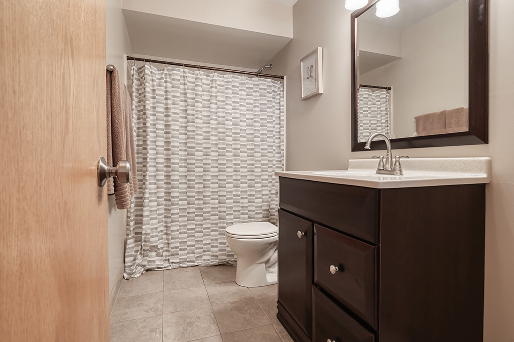 9911 Cambridge Drive, Mokena, IL 60448