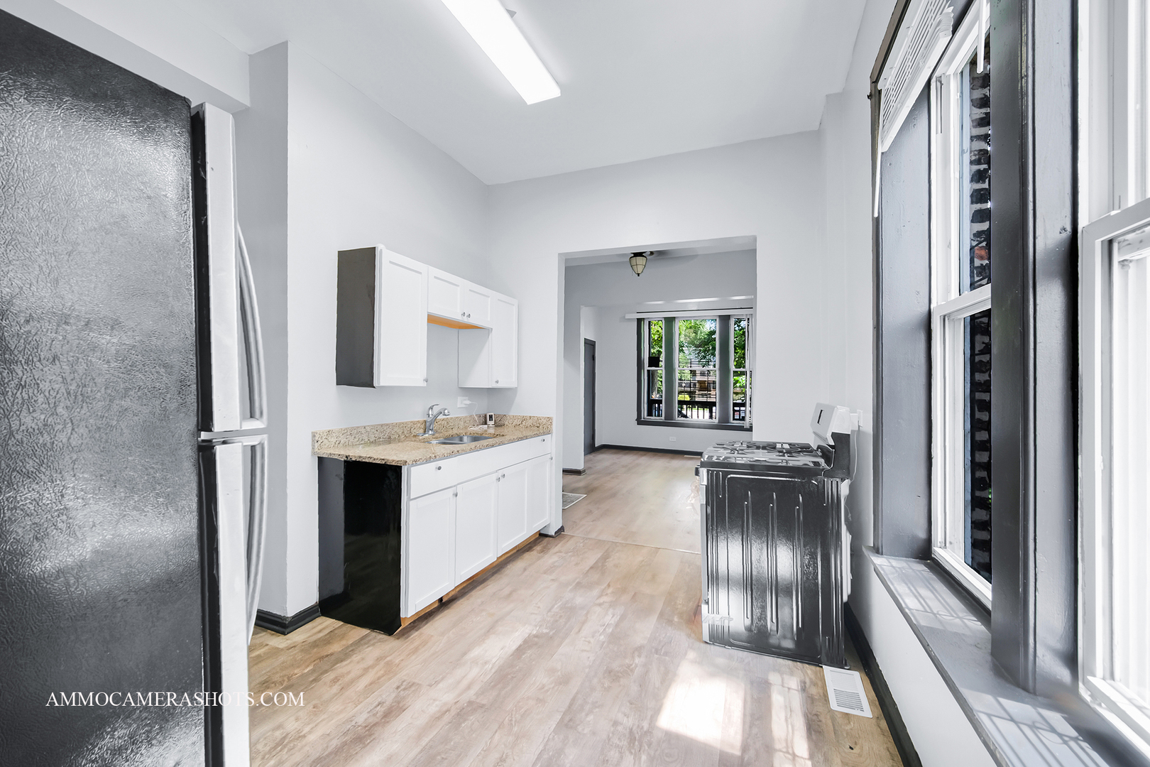 321 N Avers Avenue, Chicago, IL 60624