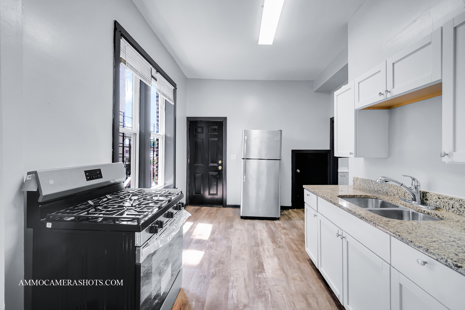 321 N Avers Avenue, Chicago, IL 60624