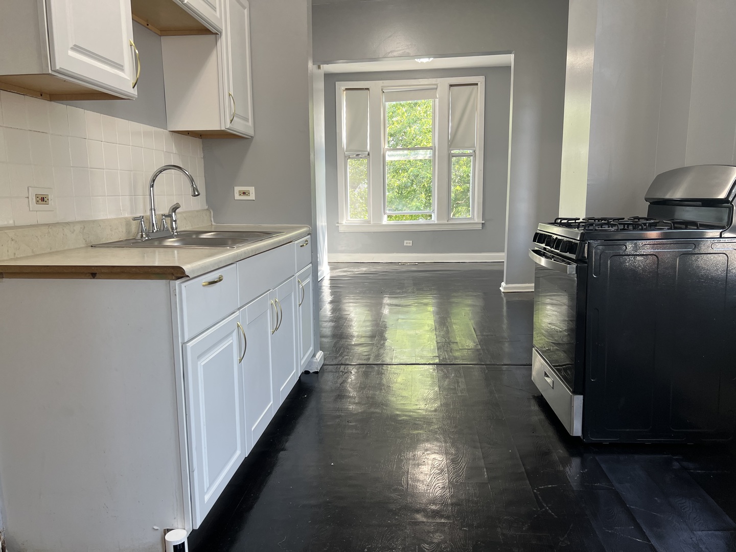 321 N Avers Avenue, Chicago, IL 60624