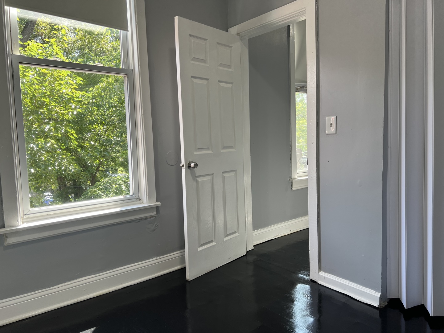 321 N Avers Avenue, Chicago, IL 60624