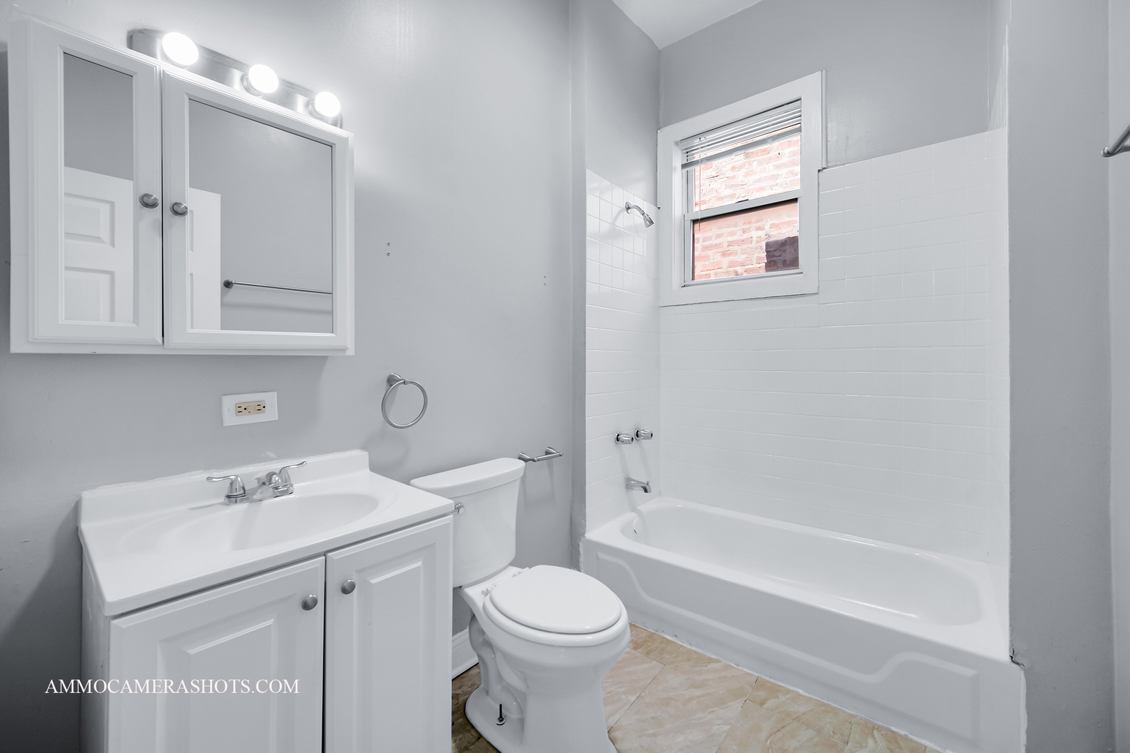 321 N Avers Avenue, Chicago, IL 60624