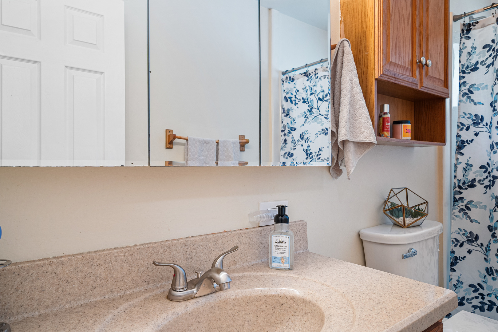 207 Basswood Drive, Elk Grove Village, IL 60007
