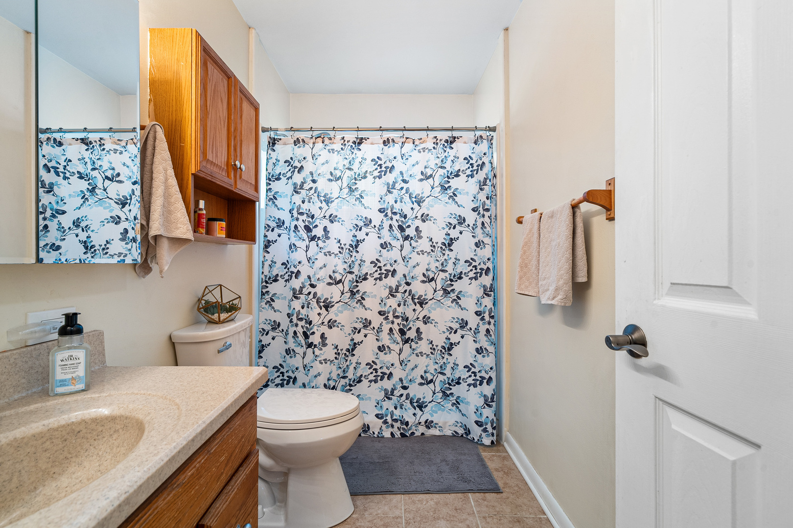 207 Basswood Drive, Elk Grove Village, IL 60007