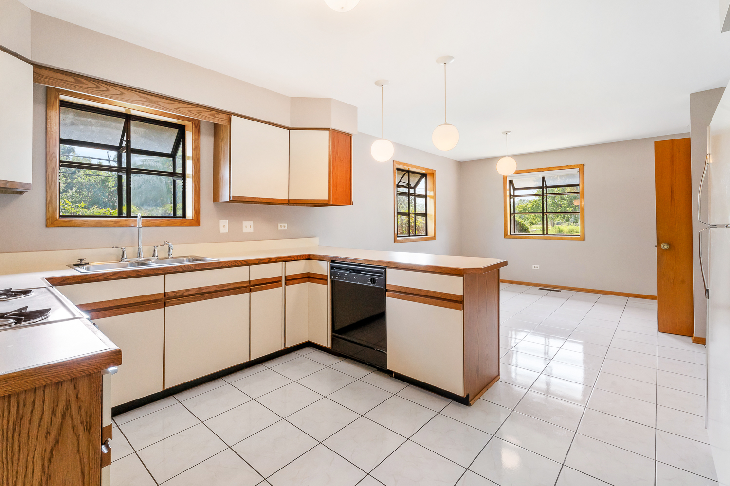 18561 Carriage Lane, Lansing, IL 60438