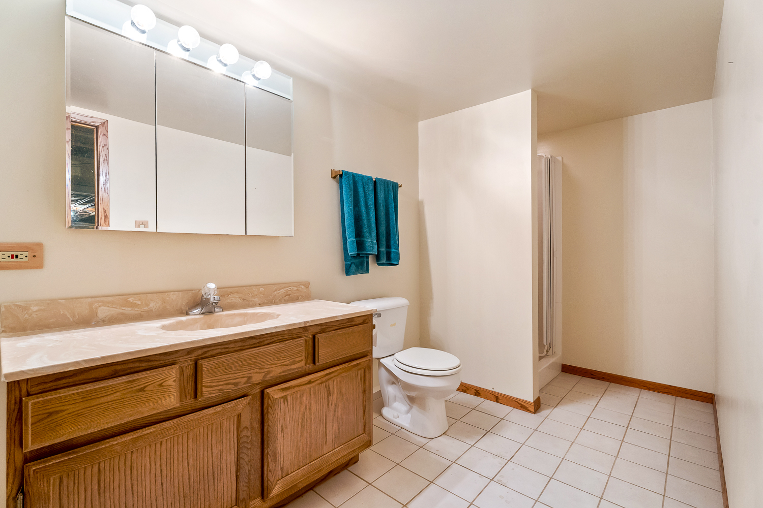 18561 Carriage Lane, Lansing, IL 60438