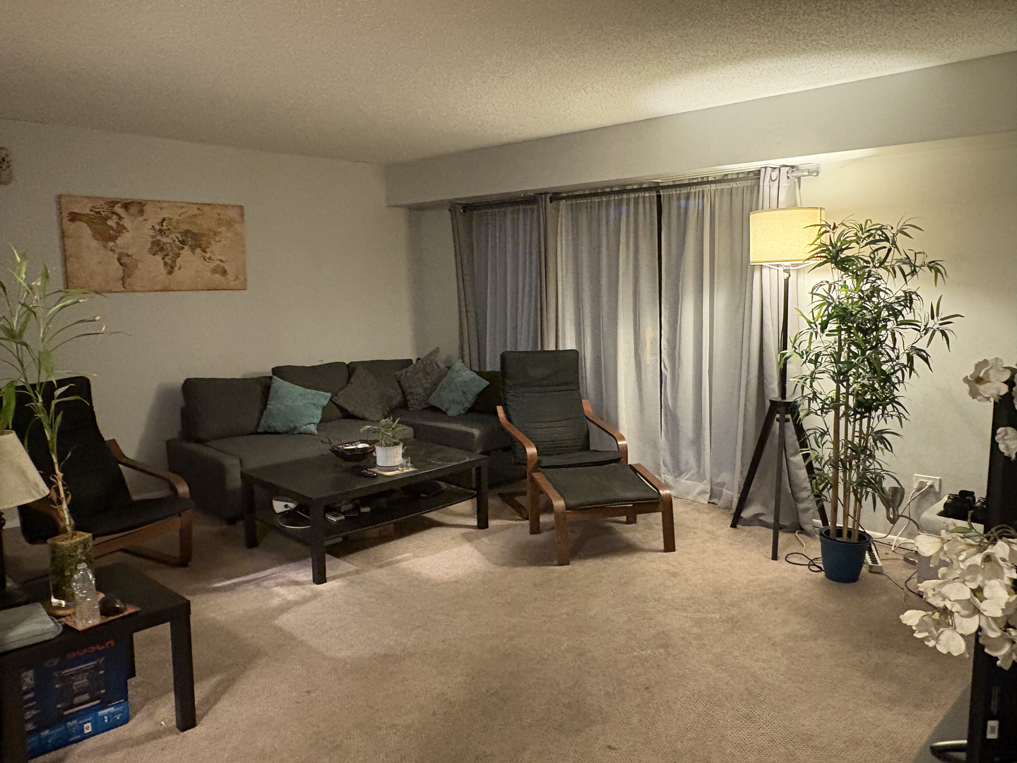 907 S Williams Street #303, Westmont, IL 60559