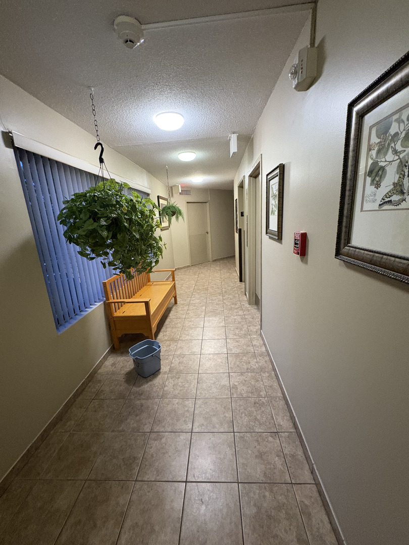 907 S Williams Street #303, Westmont, IL 60559