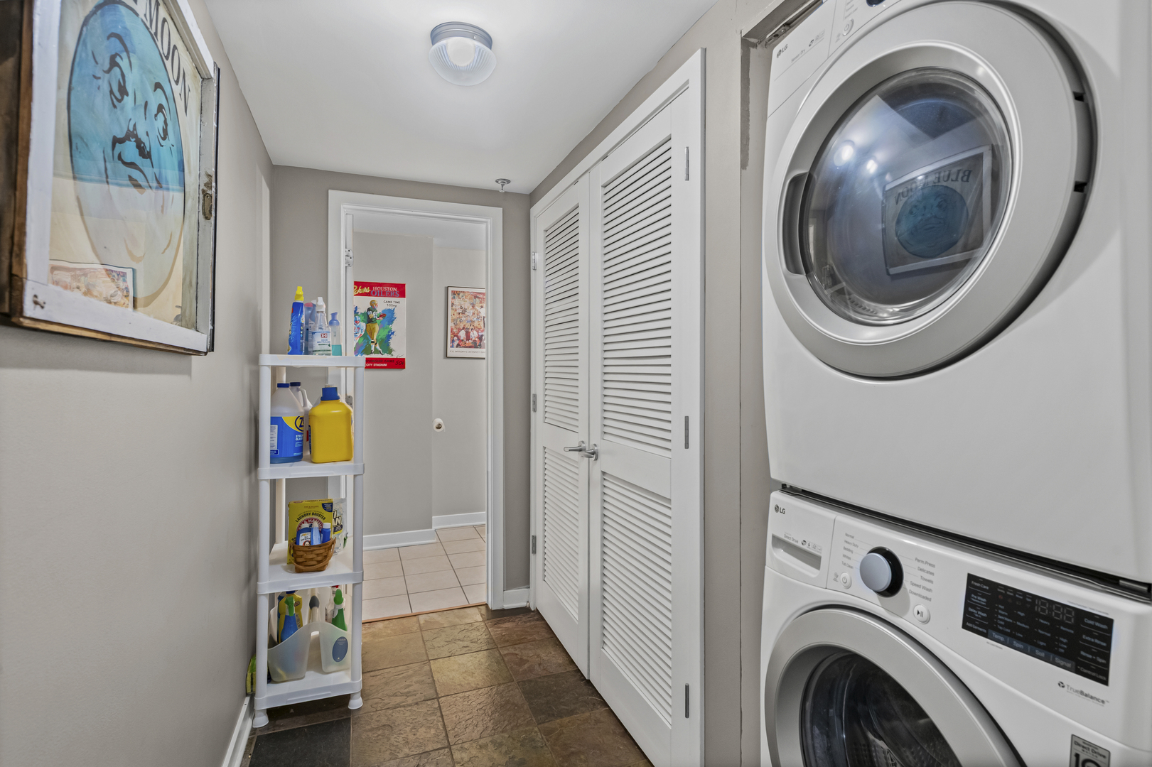 331 S Ridgeland Avenue #B, Oak Park, IL 60302