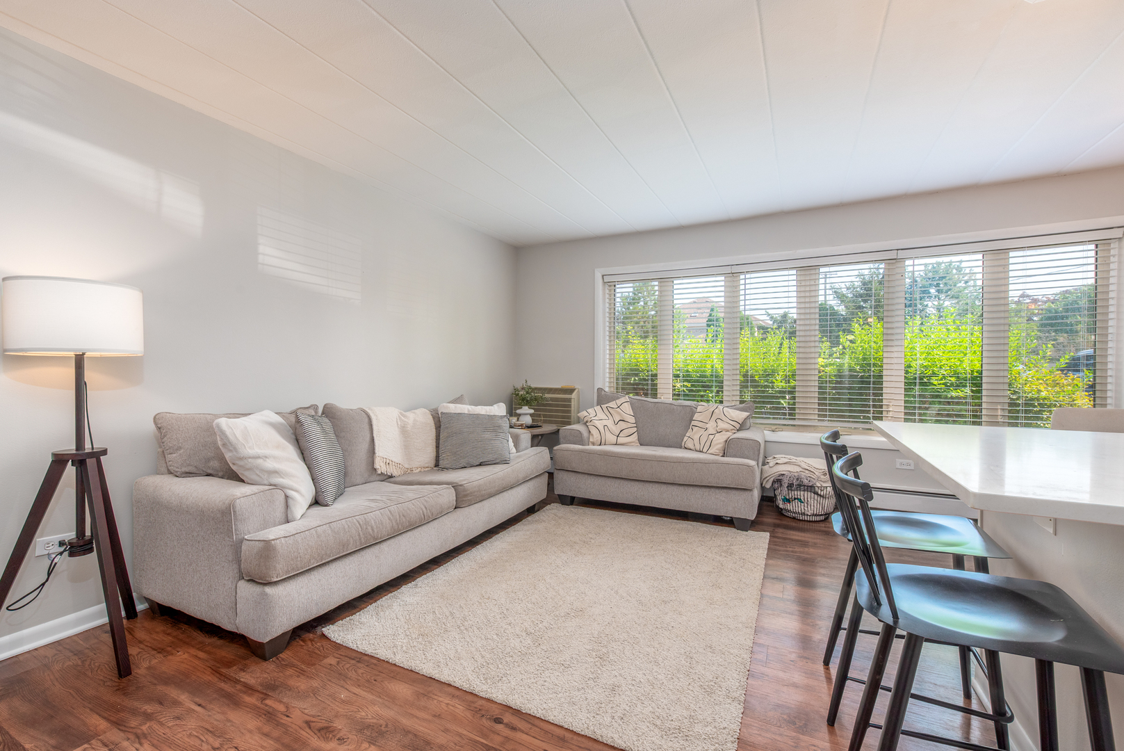 711 Busse Highway #1B, Park Ridge, IL 60068