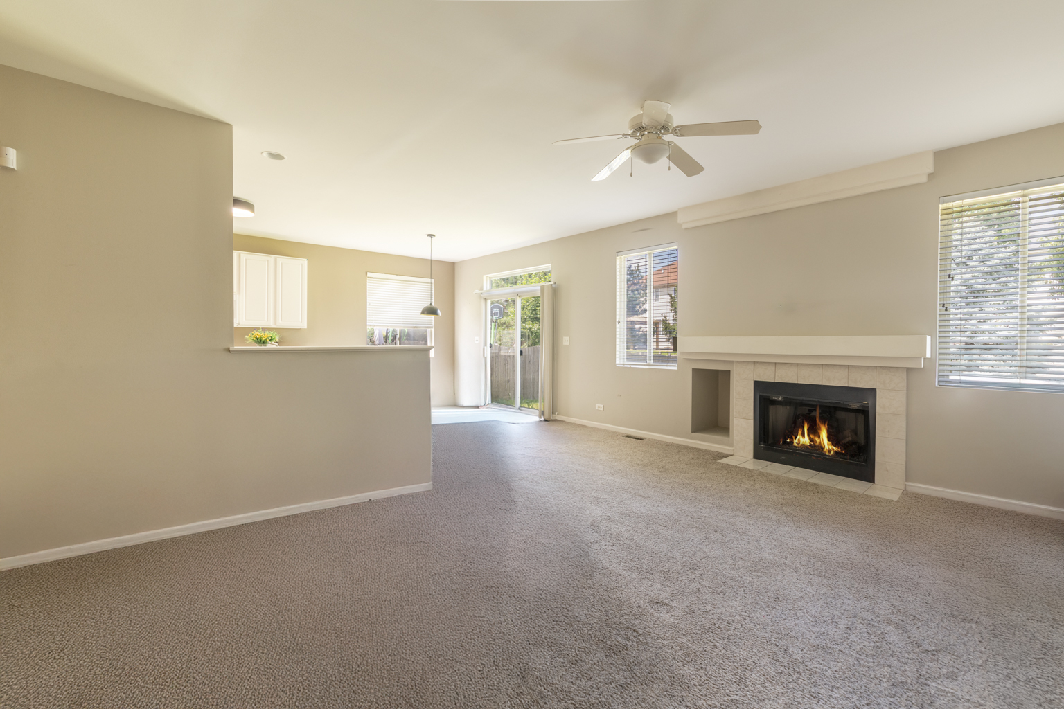 12220 Pear Tree Way, Plainfield, IL 60585