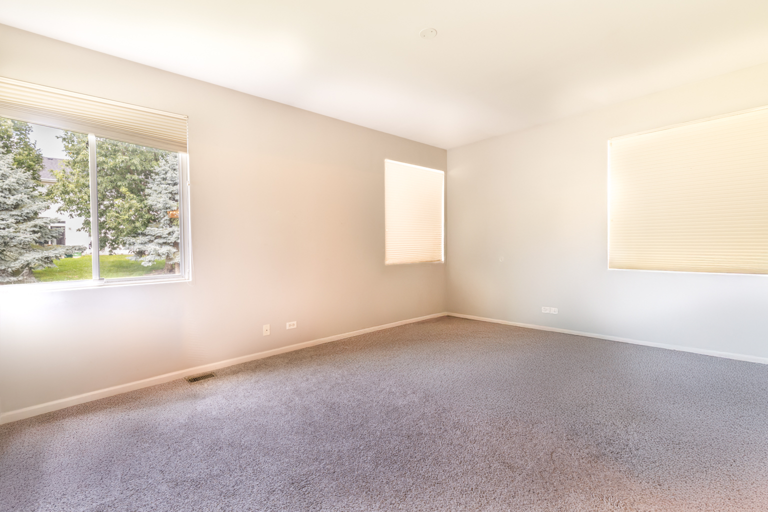 12220 Pear Tree Way, Plainfield, IL 60585