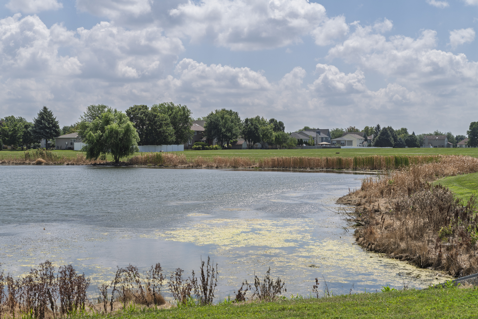 12220 Pear Tree Way, Plainfield, IL 60585