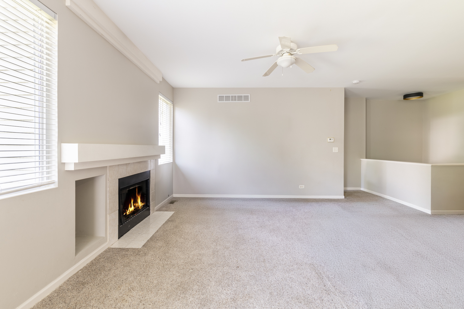 12220 Pear Tree Way, Plainfield, IL 60585