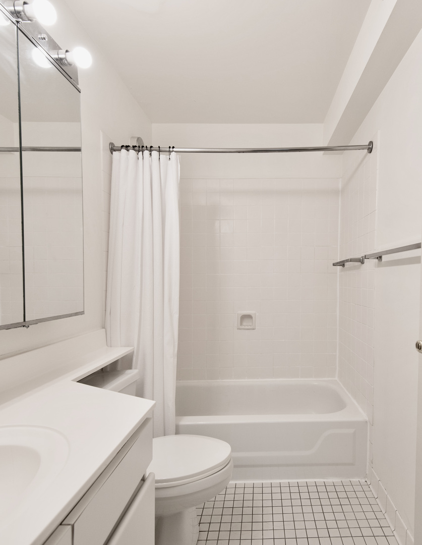 440 N Wabash Avenue #604, Chicago, IL 60611