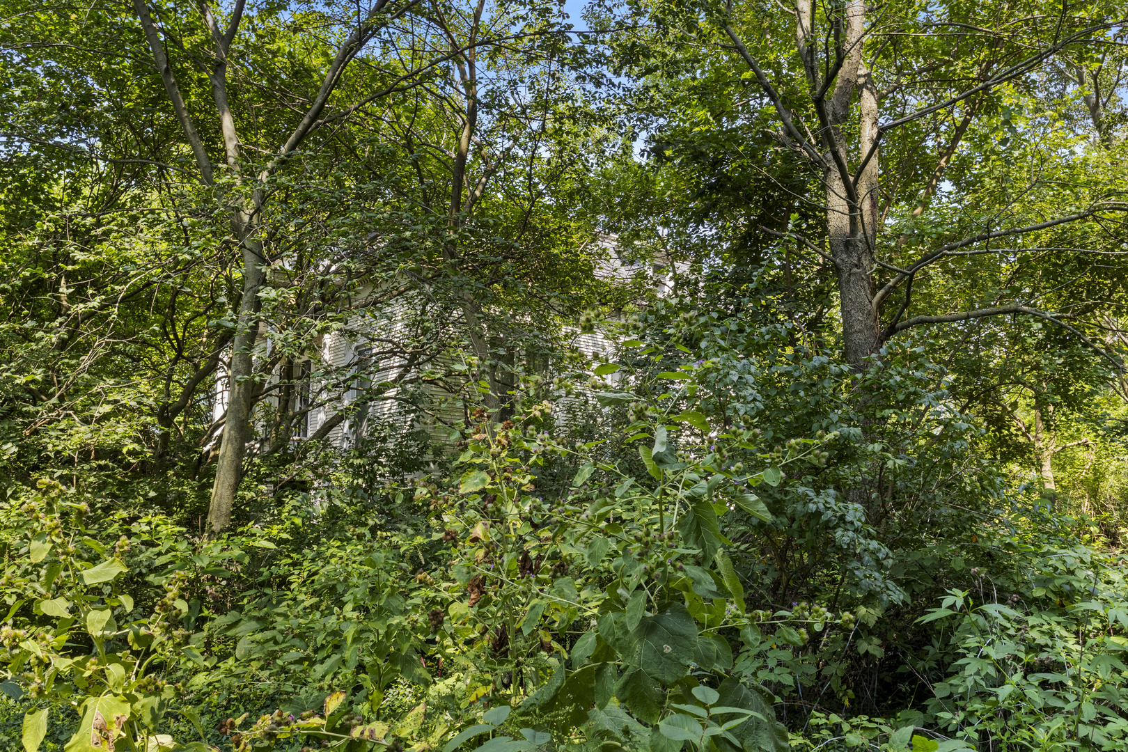 12393 E IL-1, Grant Park, IL 60940
