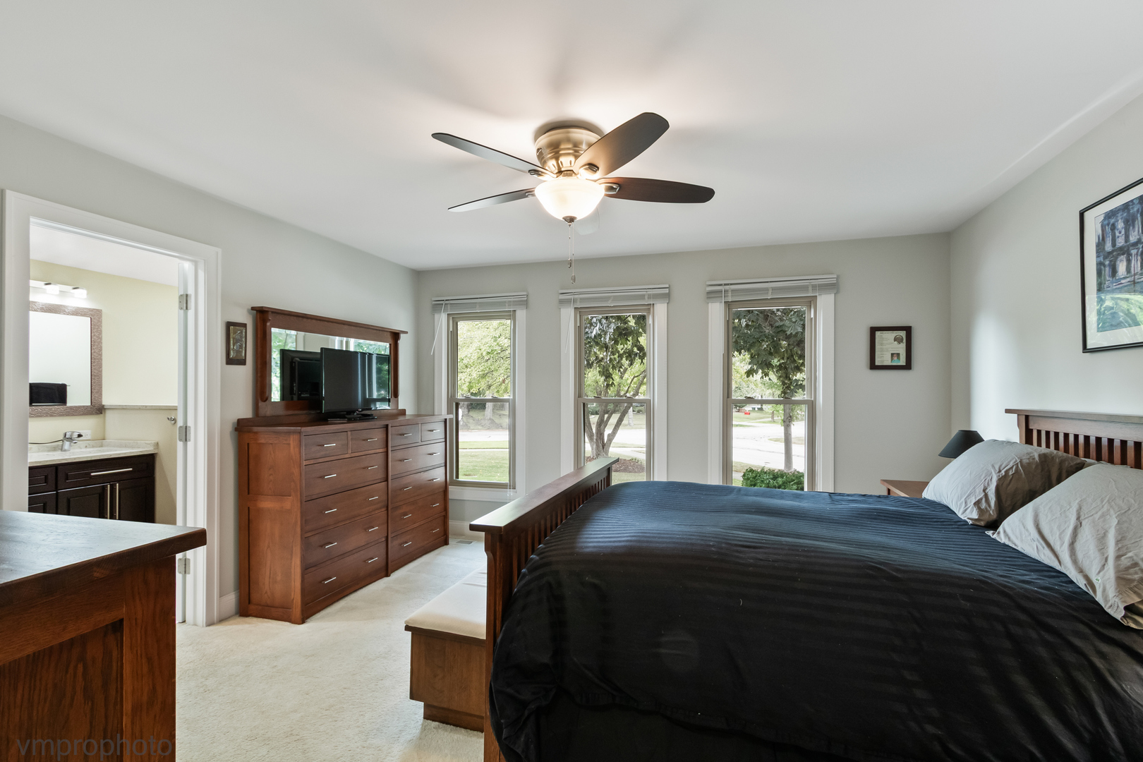 923 S Stonehedge Lane, Palatine, IL 60067