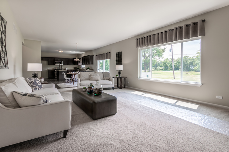 901 WILLOW Road, Manteno, IL 60950