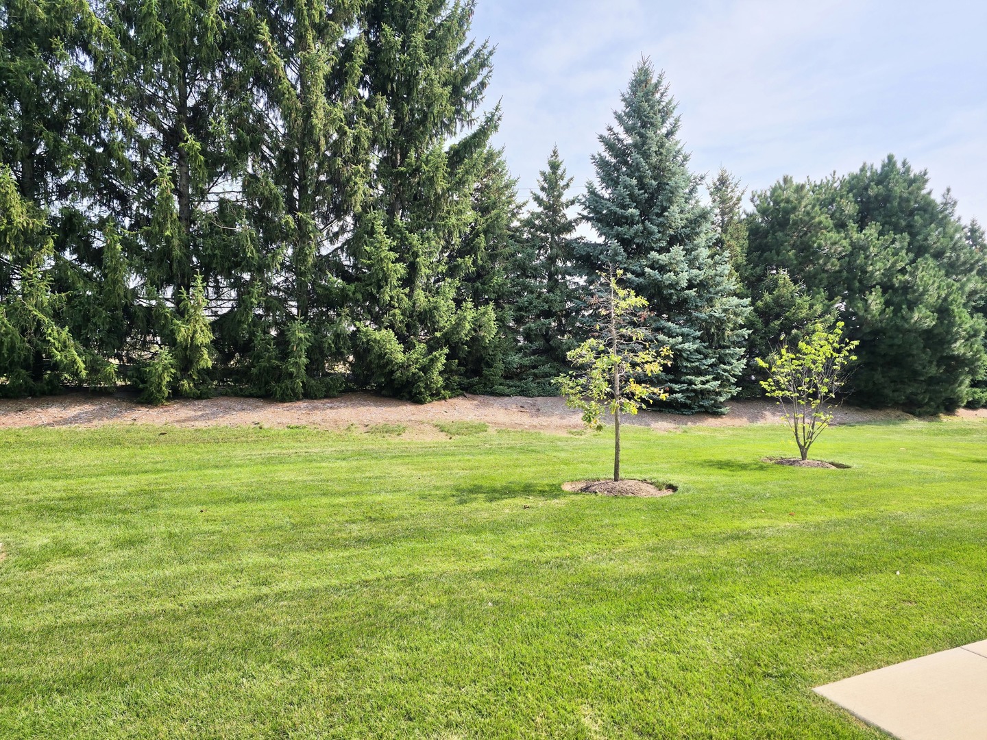 1917 Turtle Creek Court, Aurora, IL 60503