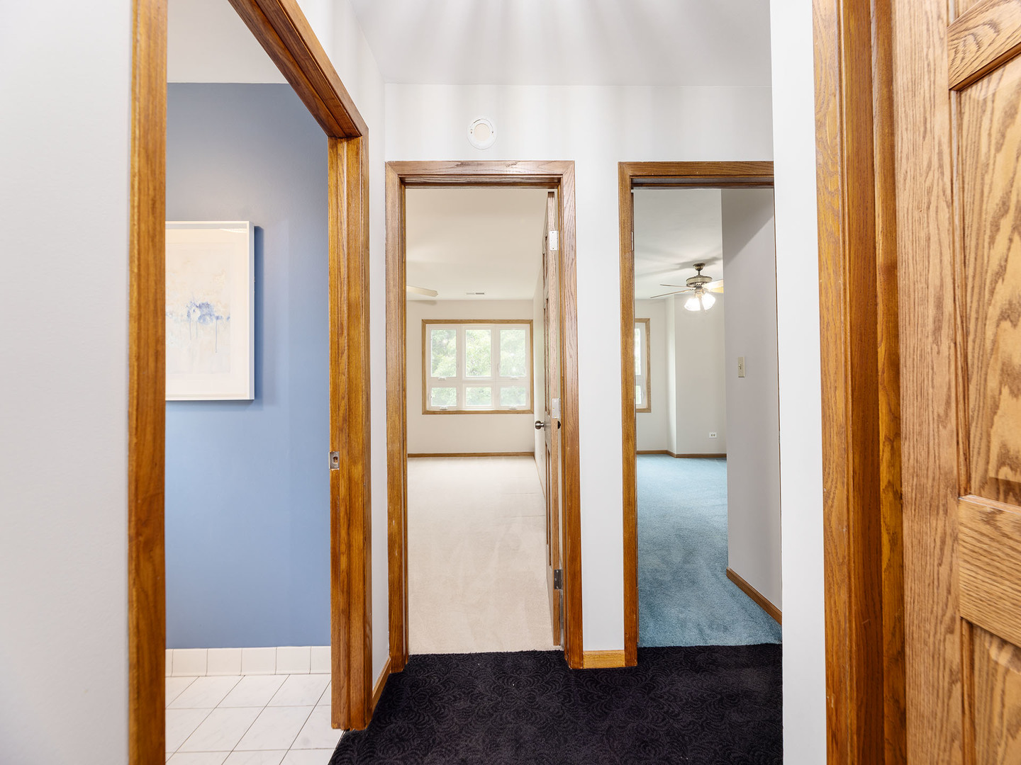 6527 N Onarga Avenue, Chicago, IL 60631