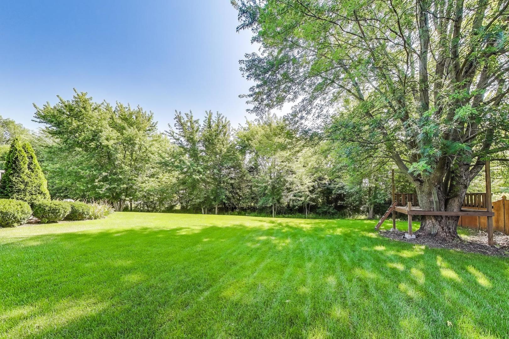 11523 S Kristi Drive, Plainfield, IL 60585