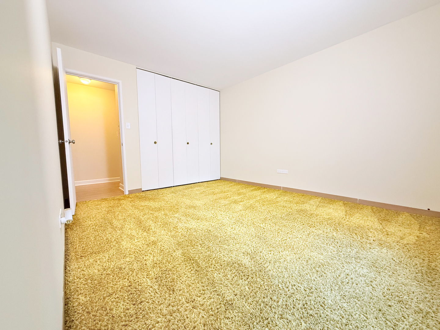 4250 Saratoga Avenue #L305, Downers Grove, IL 60515