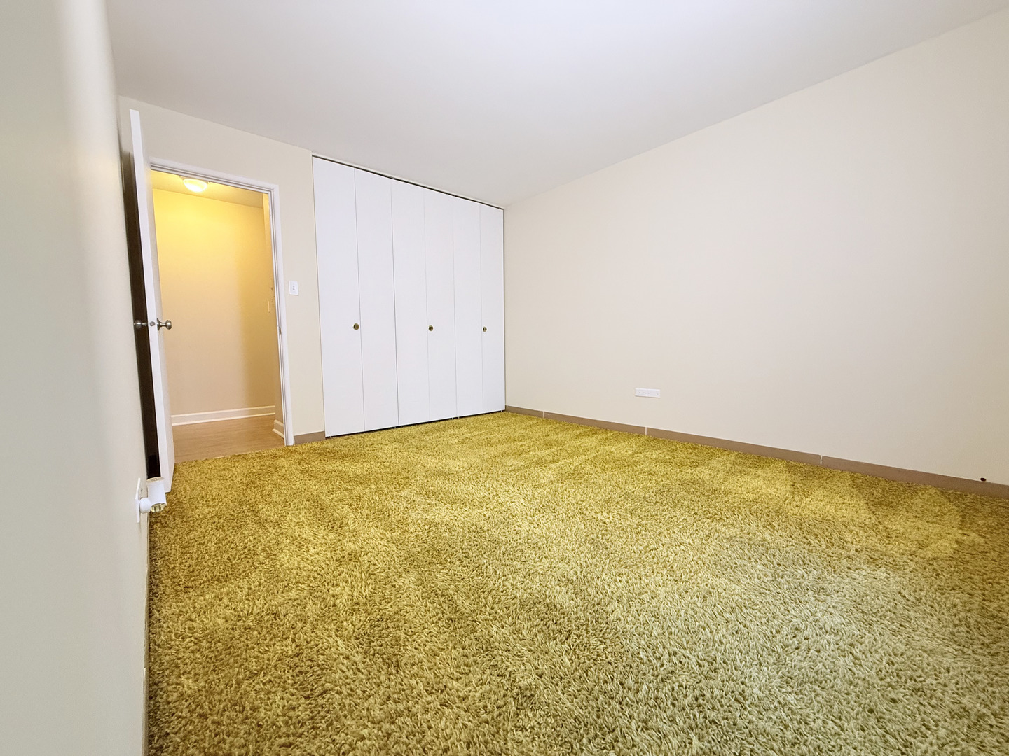 4250 Saratoga Avenue #L305, Downers Grove, IL 60515