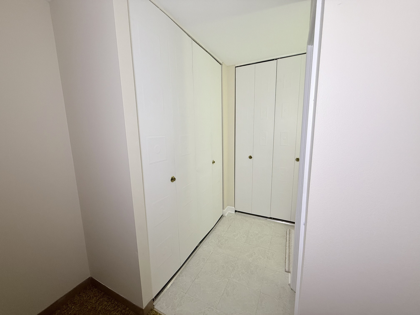 4250 Saratoga Avenue #L305, Downers Grove, IL 60515