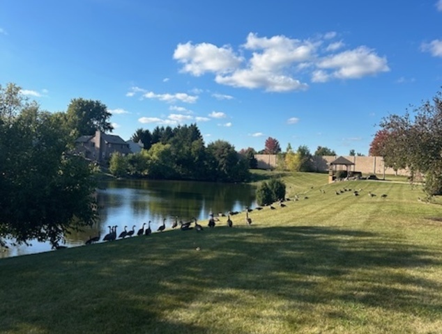 36 Fallcreek Circle #0, Montgomery, IL 60538