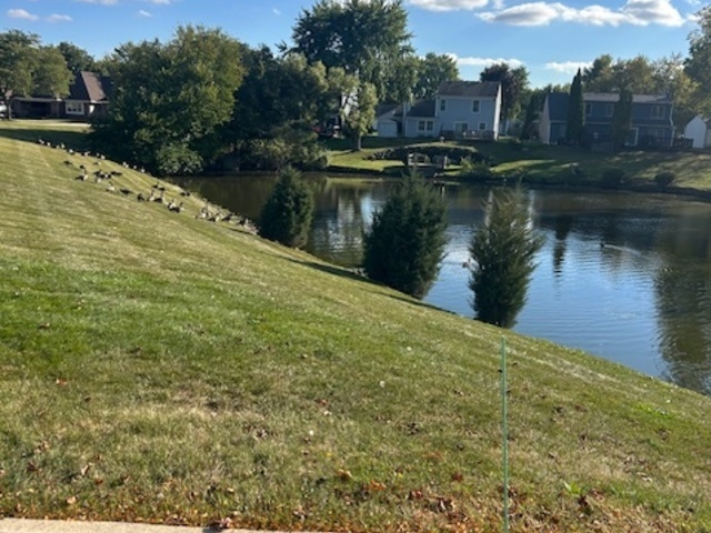 36 Fallcreek Circle #0, Montgomery, IL 60538