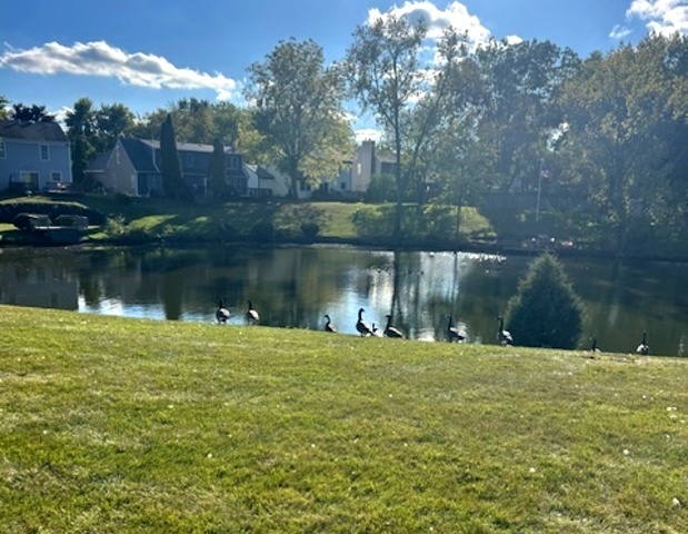 36 Fallcreek Circle #0, Montgomery, IL 60538