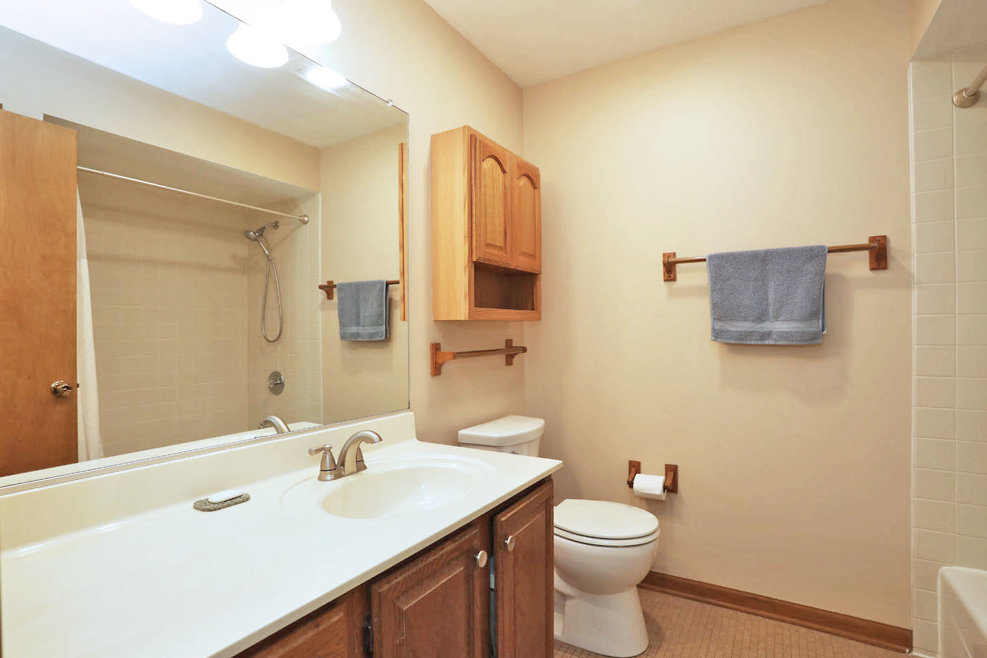 910 S Vista Drive, Algonquin, IL 60102