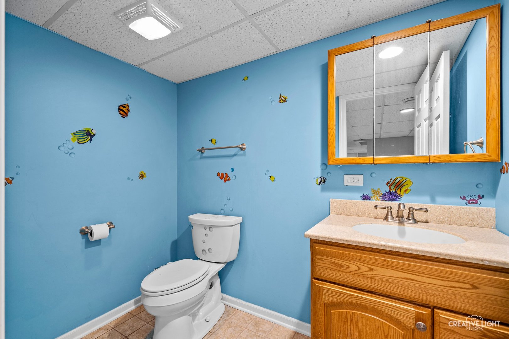 309 Northampton Drive, Oswego, IL 60543