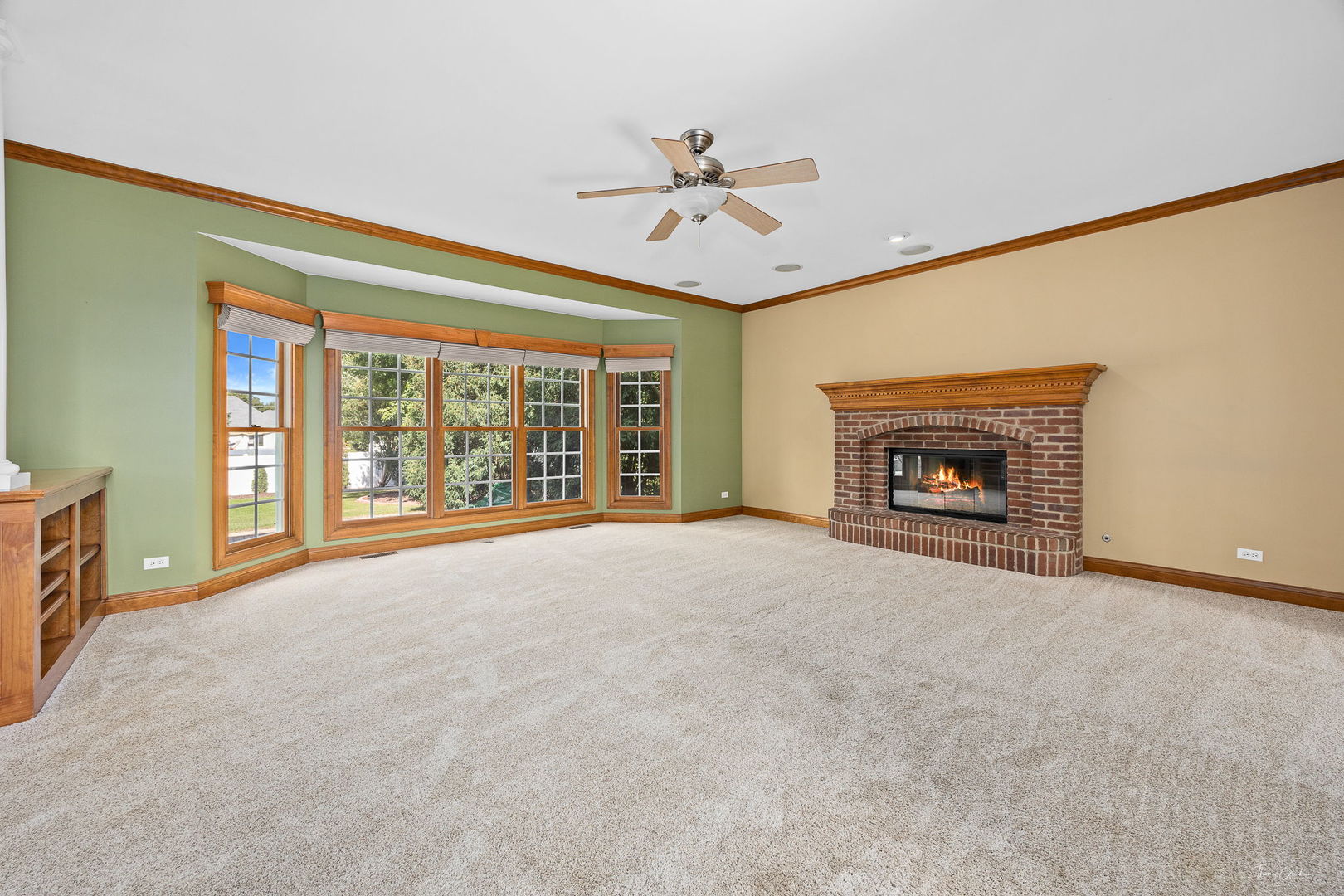 1123 Heartland Drive, Yorkville, IL 60560