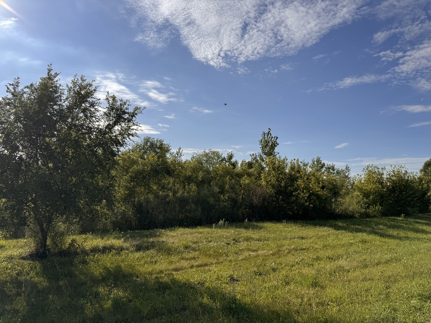 1917 N Queen Anne Road, Woodstock, IL 60098