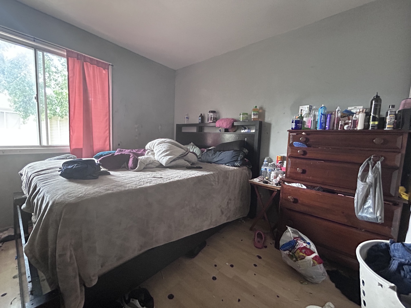 514 Alton Court, Carol Stream, IL 60188