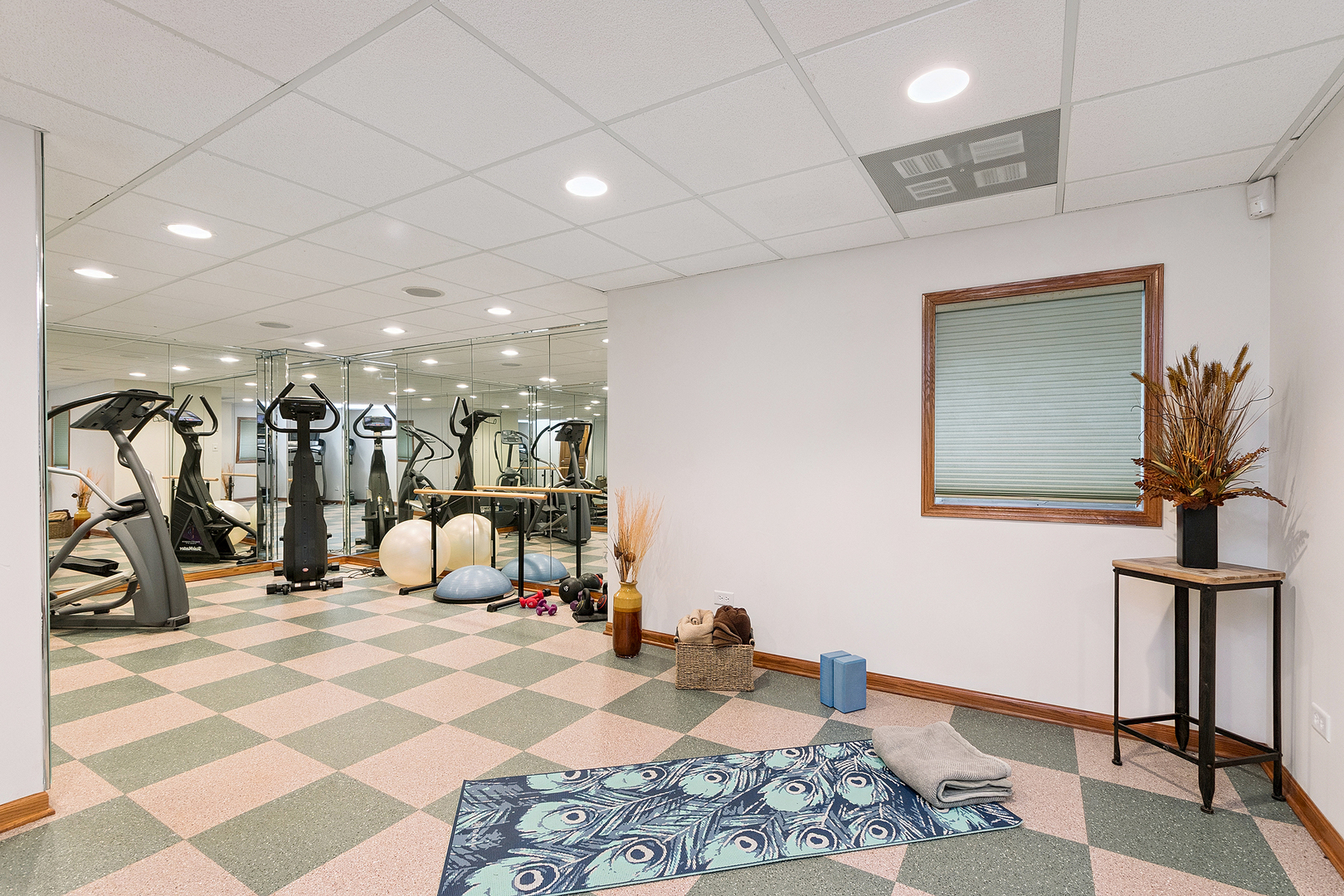 10993 Pioneer Trail, Frankfort, IL 60423