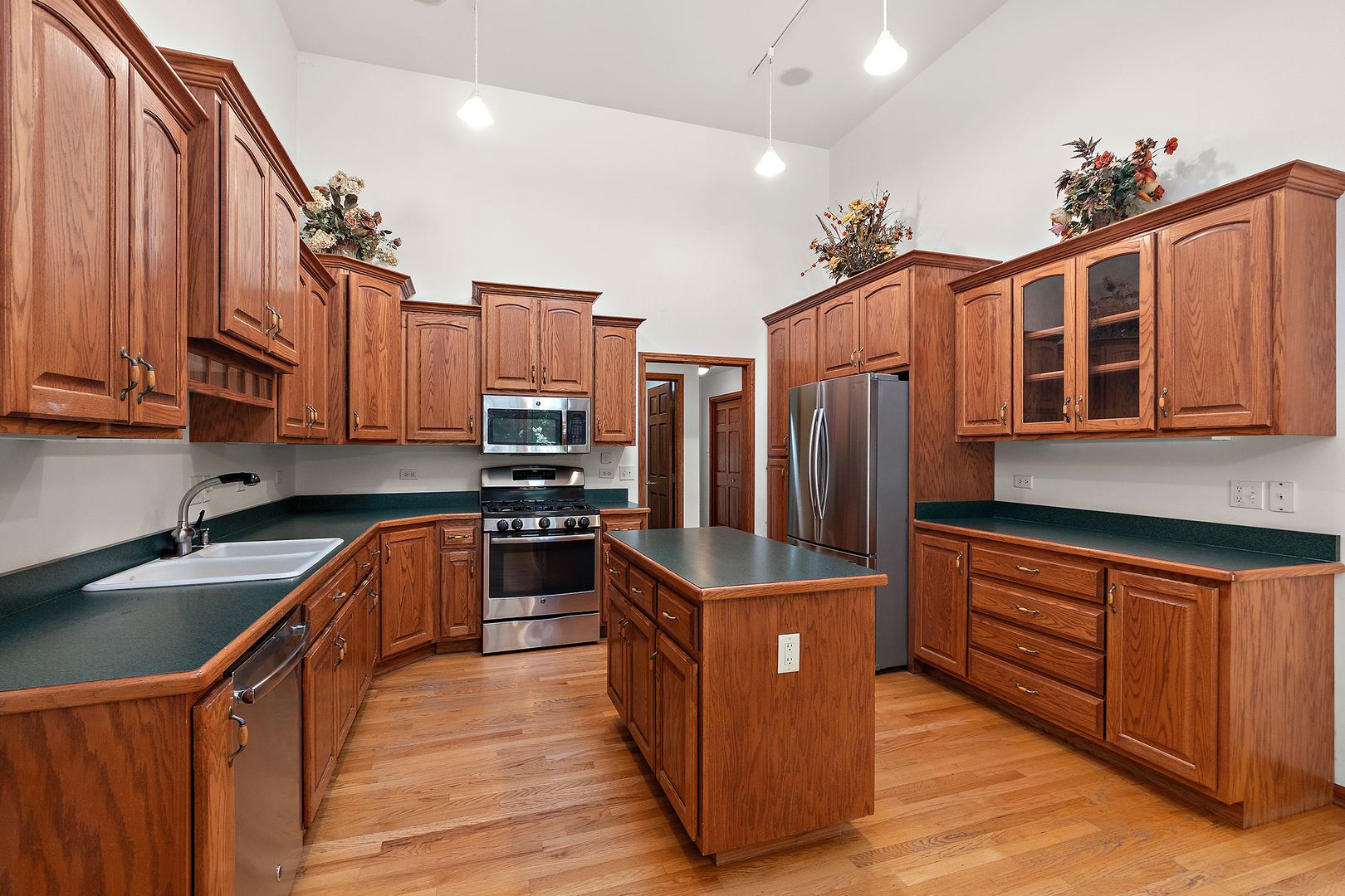 10993 Pioneer Trail, Frankfort, IL 60423