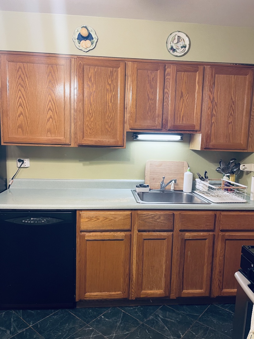 9205 POTTER Road #2H, Des Plaines, IL 60016