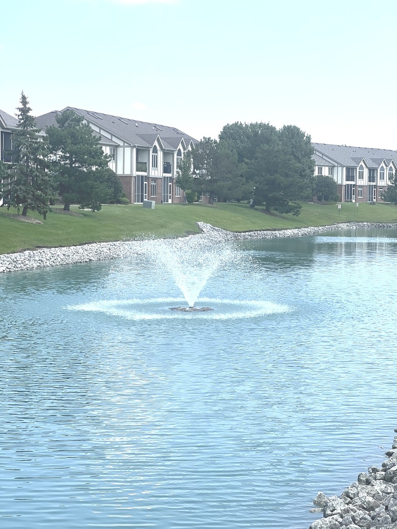 6243 Misty Pines Drive #1, Tinley Park, IL 60477