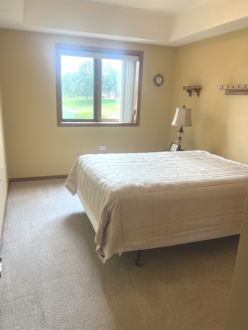 6243 Misty Pines Drive #1, Tinley Park, IL 60477