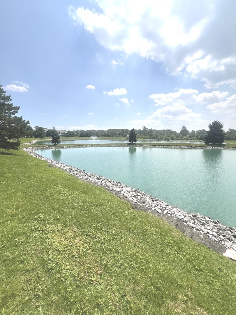6243 Misty Pines Drive #1, Tinley Park, IL 60477
