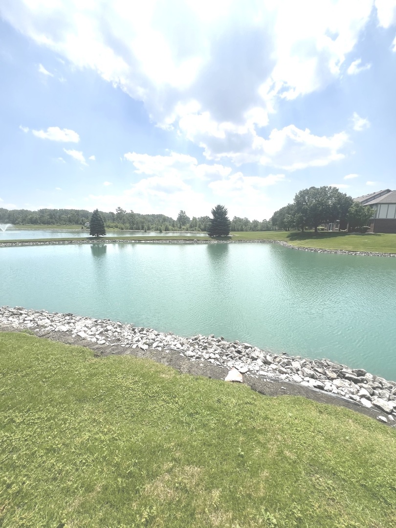 6243 Misty Pines Drive #1, Tinley Park, IL 60477