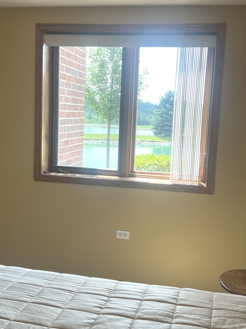 6243 Misty Pines Drive #1, Tinley Park, IL 60477