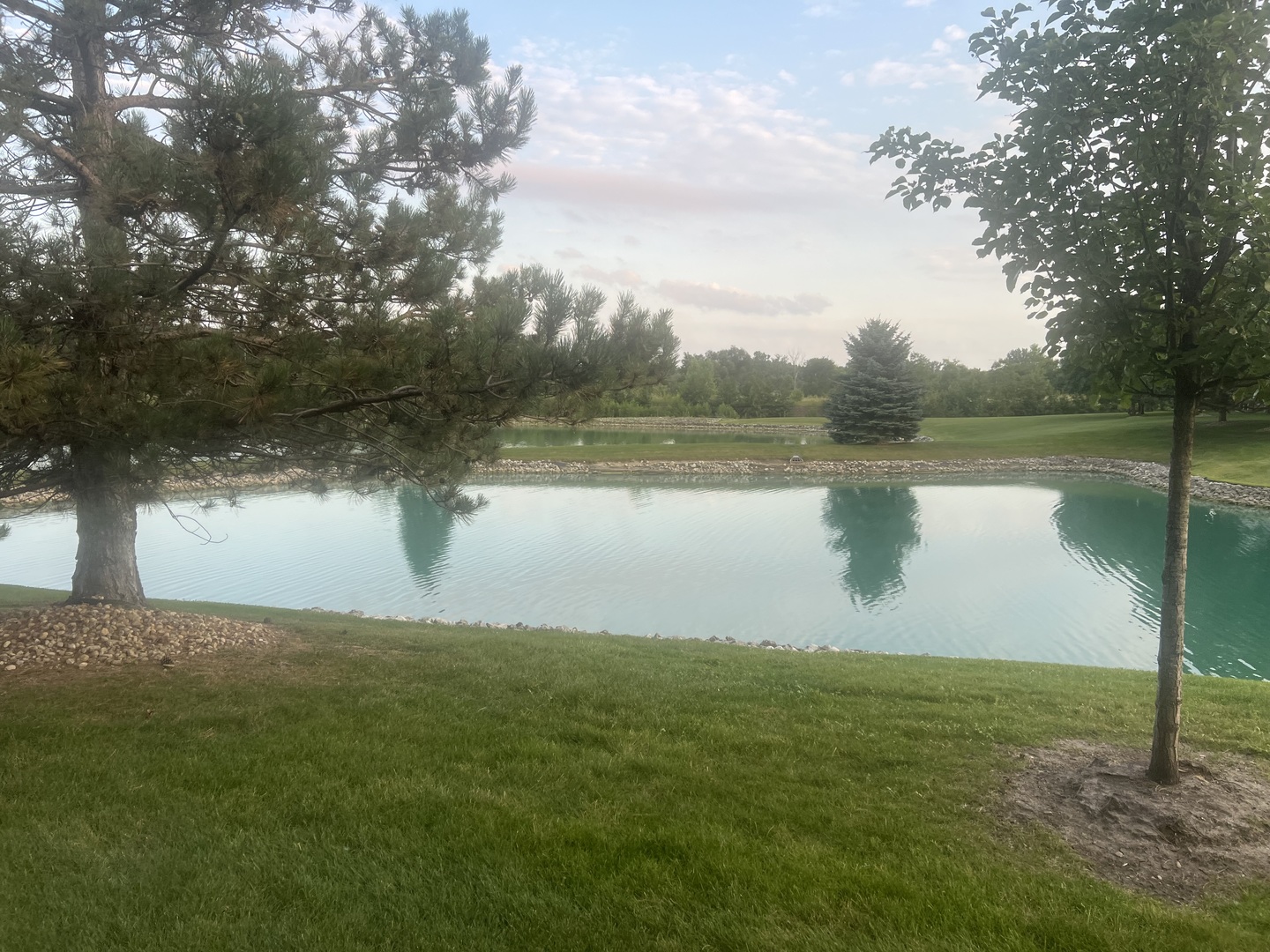 6243 Misty Pines Drive #1, Tinley Park, IL 60477