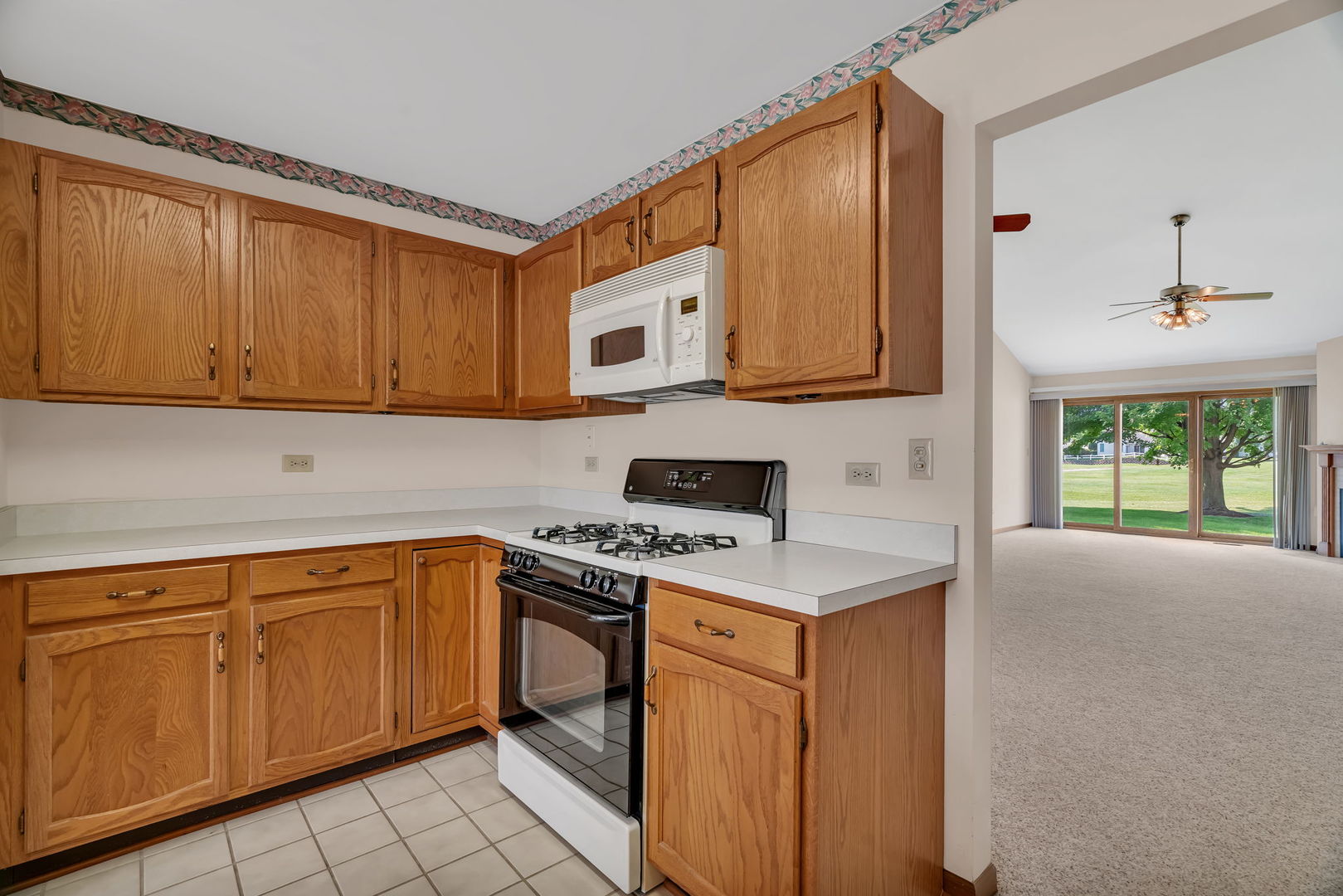 13472 S Redberry Circle, Plainfield, IL 60544