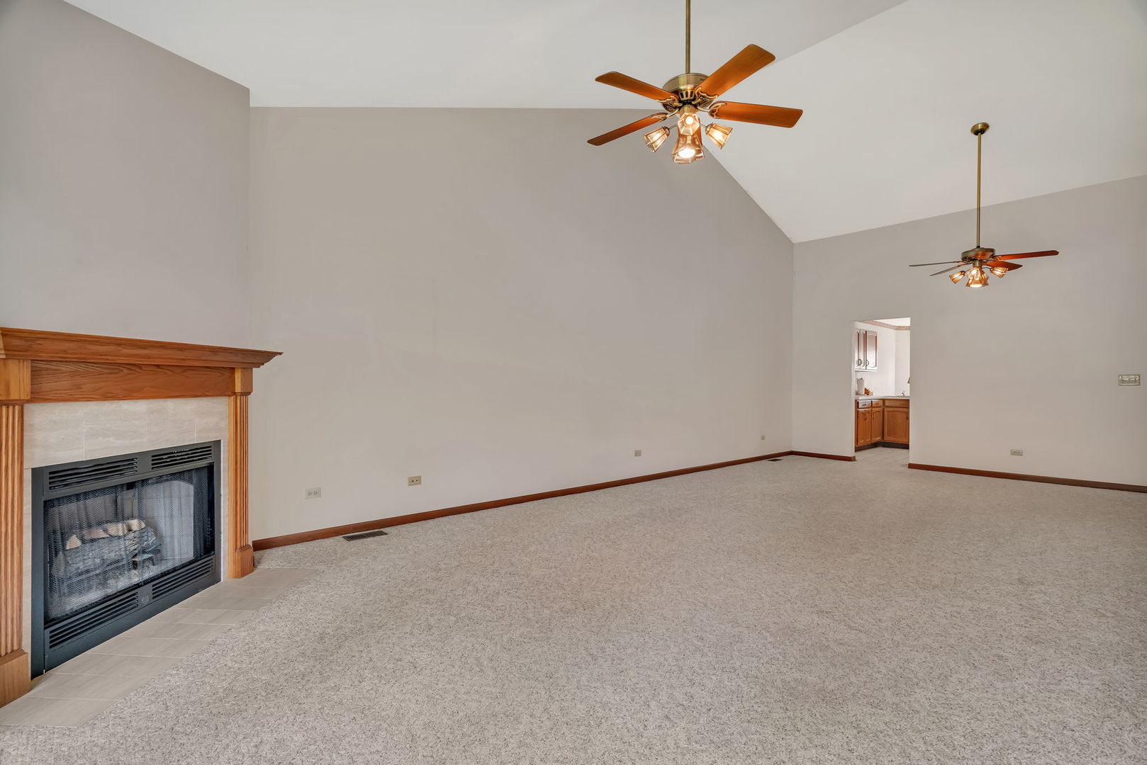 13472 S Redberry Circle, Plainfield, IL 60544